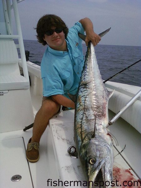 Bryan Kornemann, from Raleigh, with a 39 lb. king caught on a live pogy while fishing with his father 17 miles off Carolina Beach in 70′ of water.