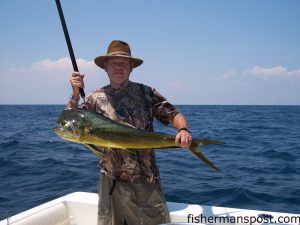 Phil Metz, of Wilmington, with a 12 lb. dolphin caught on a Hank Brown rig with a Blue Water Candy pink Hot Shot skirt and a dead cigar minnow.  He was fishing near AR 368 with Capt. Jim Sabella of Plan 9 Charters out of Wrightsville Beach.