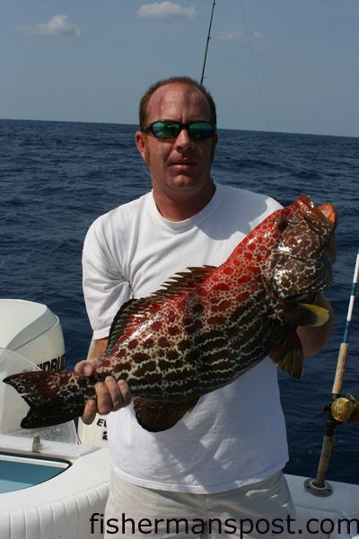 Randy Edwards, of Wilmington, NC, with a fireback grouper caught on a dead cigar minnow while fishing with Capt. Rick Croson, of Living Waters Guide Service, 50 miles out of Masonboro Inlet in 20 fathoms of water.