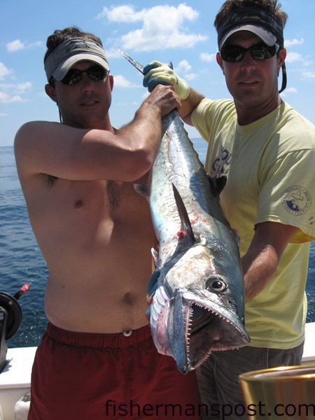 Will Scheibel, of Wrightsville Beach, and John Eargle, of Wilmington, with a 41 lb. king mackerel that fell for a live pogy while the anglers were trolling a ledge 18 miles off Wrightsville Beach. The big king was one of three over 30 lbs. they landed in the area.