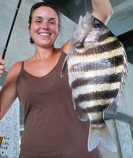 Holly McNutt, from Iowa City, IA, with a big sheepshead that struck a fiddler crab beaneath a Swansboro-area bridge while she was fishing with Capt. Jeff Cronk, of Fish’N4Life Charters.