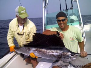 Tony Hartnett, of Graham, NC, caught and released this sailfish on pogy beneath a pink Blue Water Candy skirt at the Shark Hole. He was fishing with Frollie Hughes, Eric Hughes, and his son Adam.