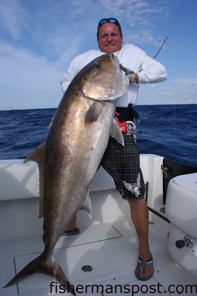 Rob Ellendorf, from Vero Beach, FL, with a 61″ long, 38″ girth amberjack weighing over 120 lbs. He caught and released the fish while deep jigging in 300′ of water with Capt. Mike Jackson of Live Line Charters out of Wrightsville Beach.