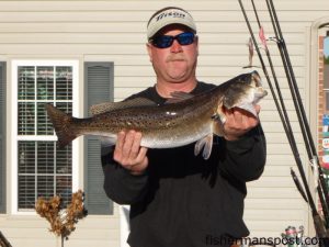 Capt. Brent Banks, of Specktacular Charters out of Jacksonville, with a 7.5 lb. speckled trout caught in the White Oak River on a live shrimp beneath a Billy Bay float.