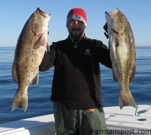 Greg Kennedy with a pair of gag grouper he hooked while bottom fishing with cut mackerel. He was dropping on some structure in 100' of water off Atlantic Beach while fishing with Capt. Ken Mullen of Swell Rider Charters.