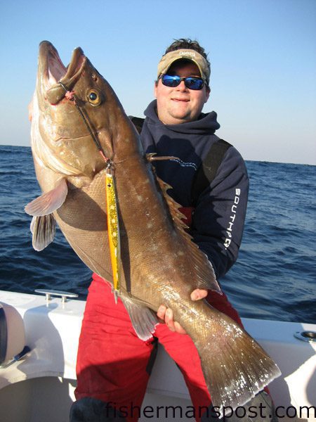 Chris Poole, from Raleigh, with a stout snowy grouper caught on a 14 oz. Benthos jig in over 800′ on a spinning rod.  Chris was fishing around 70 miles off Wrightsville Beach on the “Say When” with Micah Cox and Eric Russel, both from Wilmington.