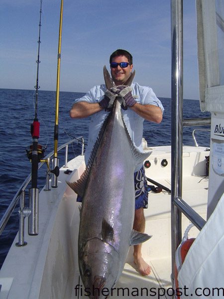 Mike Krantz, of Cape Carteret, hoists the new NC state record amberjack after a tough battle. He hooked the giant jack on a 9 oz. Williamson Abyss jig in 350′ of water off Bogue Inlet. The 126.5 lb. fish bested the former state record of 125 lbs., caught off Cape Lookout in 1973 by Paul Bailey, Jr. Photo courtesy of Capt. Stanman.