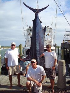 Capt. Adrian Holler, Vince Johnston, and Emery Ivey, aboard the "Sea Striker," won the Swansboro Rotary Blue Water Tournament by weighing in this 645.5 lb. blue marlin.