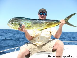 Randy "Radar" Holladay with a dolphin he hooked while trolling 50 miles off Masonboro Inlet. He was fishing with Dave Keith aboard the "Chum Maker 2."