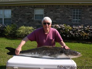 Tom Loftus with a 46 lb. cobia he hooked on a 4 oz. diamond jig in 90' of water south of Frying Pan Tower. He was fishing with Harry Adams aboard the "Kneed It."