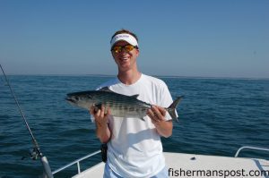 Matt with an Atlantic bonito caught on a diamond jig a little over one mile out of New River Inlet. He was fishing with Capt. Wayne Crisco of Last Resort Charters out of Topsail.