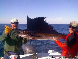 Dennis Jones, from Wallburg, NC with a sailfish he released at the Swansboro Hole while fishing on the "Sea Gypsy" with Capt. Danny Herko. The sail fell for a blue/white-skirted ballyhoo.