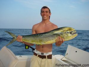 Zachary Kopka, of Denver, NC, with a dolphin he hooked on a blue/white-skirted cigar minnow at the 90/90 while trolling with Capt. Eric Kopka on the "Kan't Get Rite" out of Little River.