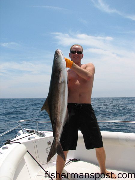 Jared Cranford with a 40 lb. cobia he hooked at the Horseshoe while fishing on the “Line of Credit” out of Southport.