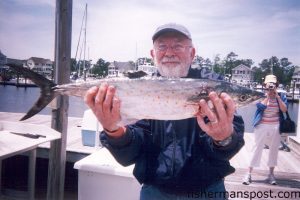 Bryson Epting, of Jamestown, NC, with a citation spanish caught near Oak Island using a live pogy. He was fishing with Capt. Greer Hughes of Cool Runnings Charters out of Southport.