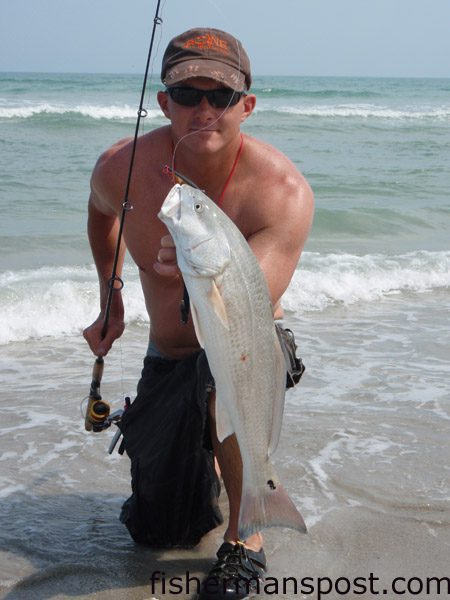 Jeff Brown, from Burlington, NC, with a red drum he caught on a Penn Slammer/440SSg spinning combo in the Topsail Surf. The red fell for a MirrOlure.