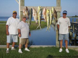 Ronnie Goble, Ducie Burley, and Thomas Marlow with dolphin and red and scamp grouper they hooked inshore of the Same Ol' Hole with Capt. Brad Phillips of Fish Spanker Charters. The dolphin bit trolled ballyhoo and the groupers fell for squid adn cigar minnows.