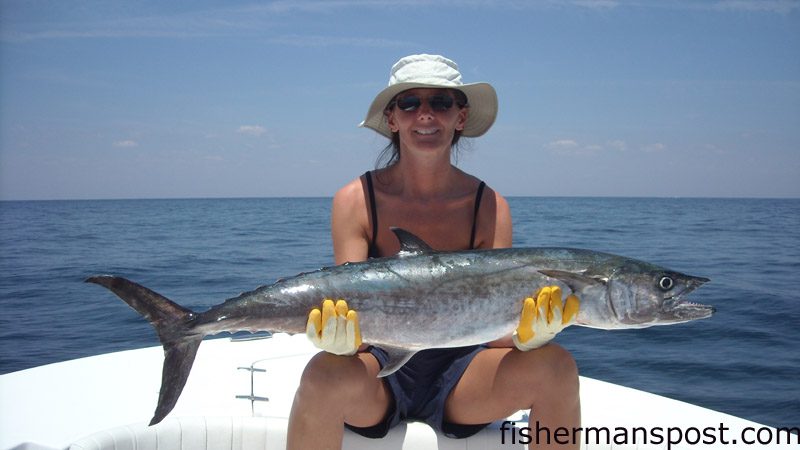 Sue Pedrazzani with a 30+ lb. king mackerel that ate a live pogy south of the Dredge Wreck while she was fishing with Kevin Sills.