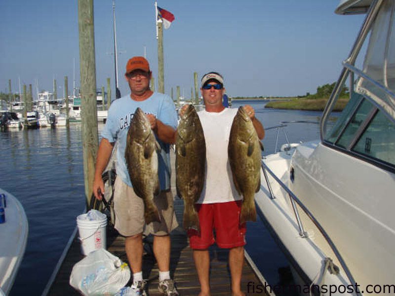 Tim Coy and Capt. Brad Phillips, of Fish Spanker Charters out of Carolina Beach, with a trio of gag grouper (the smallest 16.5 lbs) they hooked near Frying Pan Tower on cigar minnows and cut baits.