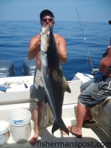 Capt. Curt Russo, from Leland, NC, with a cobia he hooked while bottom fishing with a dead pogy at a live bottom area 15 miles off Southport.