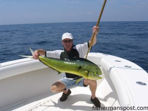 Bob Laurie, of Grand Rapids, MI, with a 23 lb. dolphin he hooked on a live pogy at the Horseshoe. He was fishing with his father on the "RockinRobin."