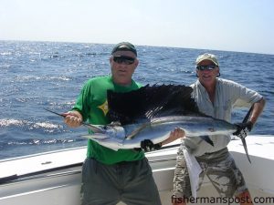 Rogar Coan hooked and released this sailfish at the Horseshoe while fishing with Capt. Ricky Holden on the "Reely Miss-Behavin" out of Southport. A live pogy fooled the sail.