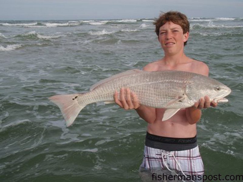 Will Schoolfield, a rising sophomore at Laney High School, with a 33″ red drum he hooked on a Carolina rig while fishing a sandbar in Topsail Inlet.