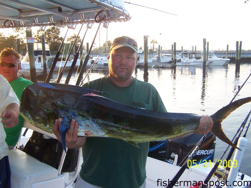 Mike Martin, of Oak Island, with a 24 lb. dolphin he landed on a flounder rod after it fell for a jigging spoon offshore of Oak Island while he was fishing with Bonner Stiller.