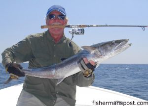 This teenage king mackerel proved no match for one of the new Stellar Lite Spinners on a charter trip with Capt. Arlen Ash of Ultimate Reaction Sportfishing.