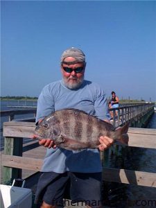 Reid Kornegay, of Wilmington, with a 9 lb. sheepshead he hooked on a circle-hooked clam bait at a dock near Carolina Beach.