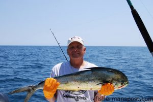 Dan Mattio, from Kingsville, MD, with a dolphin he hooked near the C Buoy. The 'phin fell for a live pogy while he was fishing out of Emerald Isle with Bob Wieciech and Bob Felber.