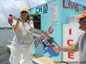 Capt. Diane Smith with a 21", 3.45 lb. speckled trout she hooked on a live shrimp in the Cape Fear River. She was fishing with her husband, Capt. Kevin Smith, of Speck Tackler Sport Fishing, and Capt. Nick Kintner, of the Bait Barge.