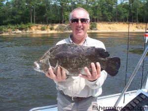 Marvin, from Sanford, NC, with a tripletial he hooked sight-casting a live shrimp near a crab trap float in the Cape Fear River. He was fishing with Capt. Jeff Wolfe of Seahawk Inshore Charters.