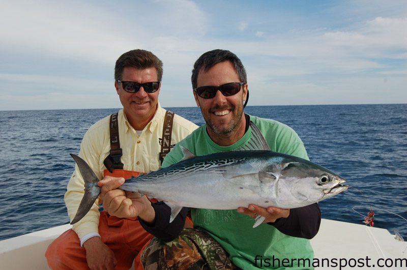 barefoot bonito