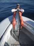 Nick Maraveyias with an est. 90 lb. wahoo he hooked on a chunk of spanish sardine while jigging near the Same Ol' Hole in late February. He landed the 'hoo on 20 lb. spinning tackle with a monofilament leader while fishing with Nick Patsalos and Capts. Pete Stafford and Steve Meching on the "Slip Slidin."