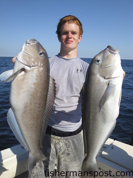 Austin Matthews, from Pittsboro, NC, with a pair of blueline tilefish that fell for squid on the bottom 45 miles south of Cape Lookout. He was fishing with the Dufour family aboard the “Merry Marlin.”