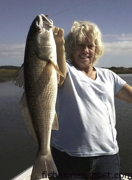 Pam Cornelison, of Oak Island, with a 23″ red drum she caught and released in Davis Creek after it bit a piece of cut mullet.