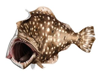 Tournament Trial Logo 2013