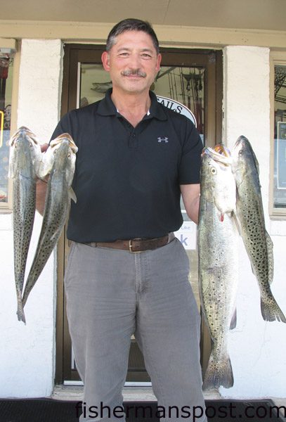 Frank Pilsko, from Newport, NC, with a limit of speckled trout (ranging 3-5+ lbs.) that bit Yo-Zuri 3DS Minnows in a Morehead-area creek.