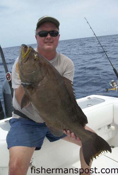 Dale Holbrook, of Wilmington, with a 20 lb. yellowmouth grouper that bit a live bait in 280′ of water off Wrightsville Beach while he was fishing with Capt. Mike Jackson of Live Line Charters.