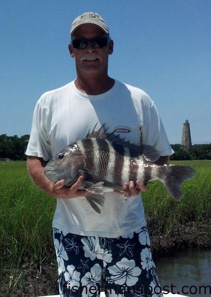 Brett Wright, of Oak Island, with a 24″ sheepshead that bit a live shrimp in a creek near Bald Head Island.