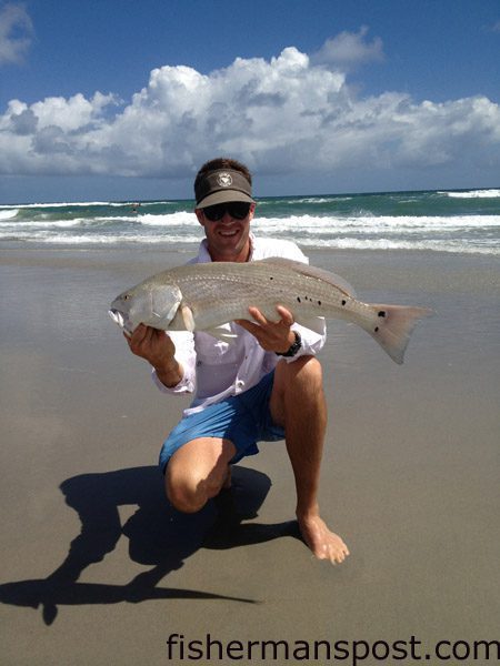 Jack Elmore, of Raleigh, with an over-slot red drum that he hooked on cut pinfish in the Atlantic Beach surf.