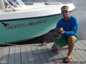 Josh Benton with a tripletail that bit a sight-cast 1/2 oz. D.O.A. shrimp near the Shark Hole while he was fishing with Capt. Mike Gore of Bald Eagle Charters.