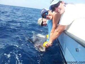 Kandice Dean, Emily Belcher, and Billy Dean prepare to release a blue marlin Dean and Belcher battled to the boat after it struck an Ilander/ballyhoo combo 37 miles off Oregon Inlet.