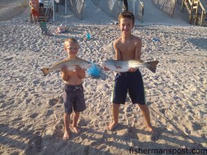 Brayden Aguilar, of Raleigh, and Ryan Starkey, from Surf City, with their first red drum, 21" and 24" fish that bit finger mullet in the Surf City surf.