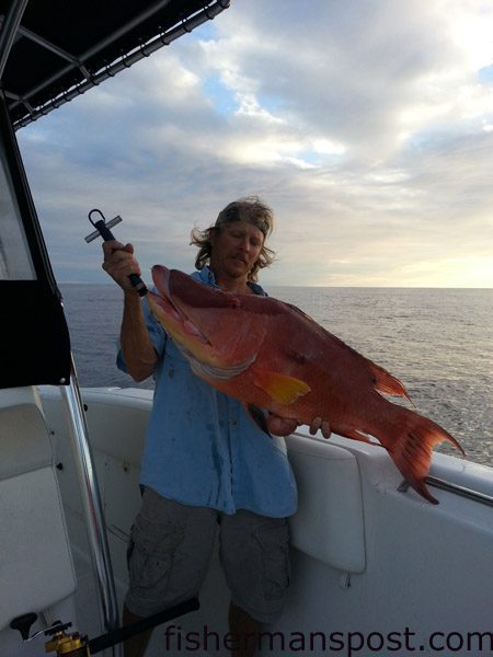 Capt. Warren Barton with a 19 lb. hogfish that bit a spanish sardine at some bottom structure 45 miles off Wrightsville Beach.