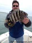 Capt. Trevor Smith, of ProFishNC Charters, with a sheepshead he hooked at some nearshore structure off Wrightsville Beach.