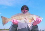 Tim Chavez with one of the red drum he and Capt. Allen Jernigan--Team White Latinos--landed on the way to their 11.94 lb. two-fish aggregate and second place finish in the Riley Rods Spring Redfish Shootout.