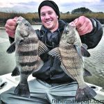 Jason Shannon with a pair of black drum that struck live shrimp near Southport.