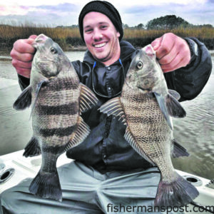 Jason Shannon with a pair of black drum that struck live shrimp near Southport. 